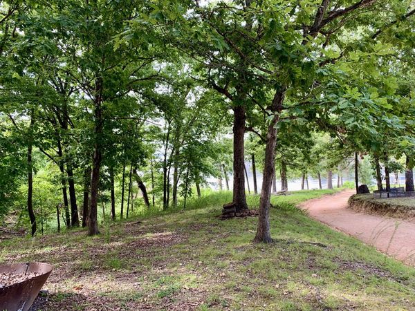 32369 S 596 Road, Grove, OK 74344