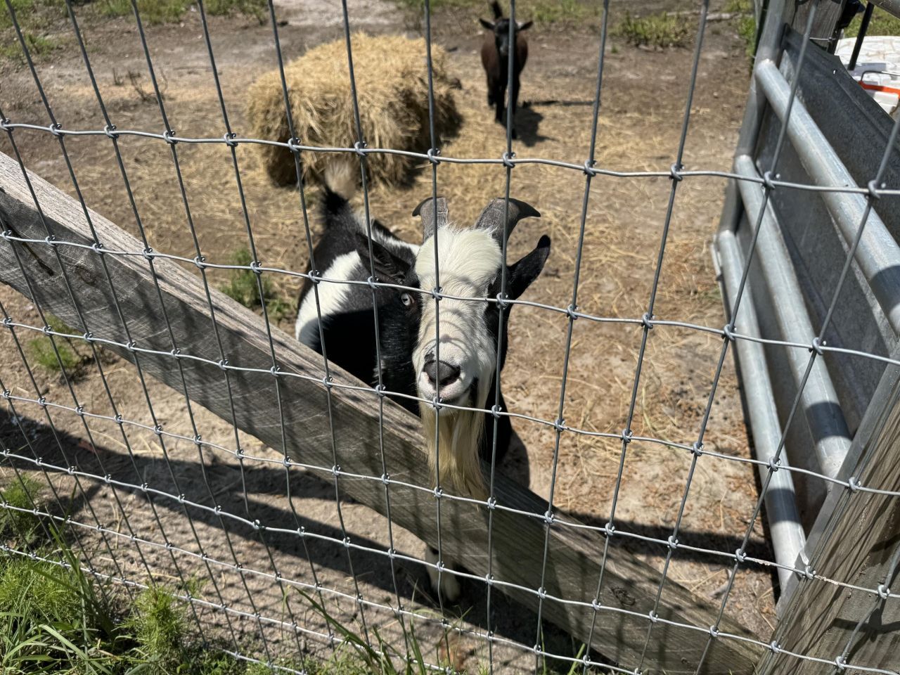 661 Woodrow Road Photo 31