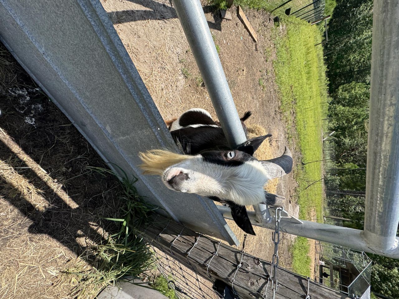 661 Woodrow Road Photo 34