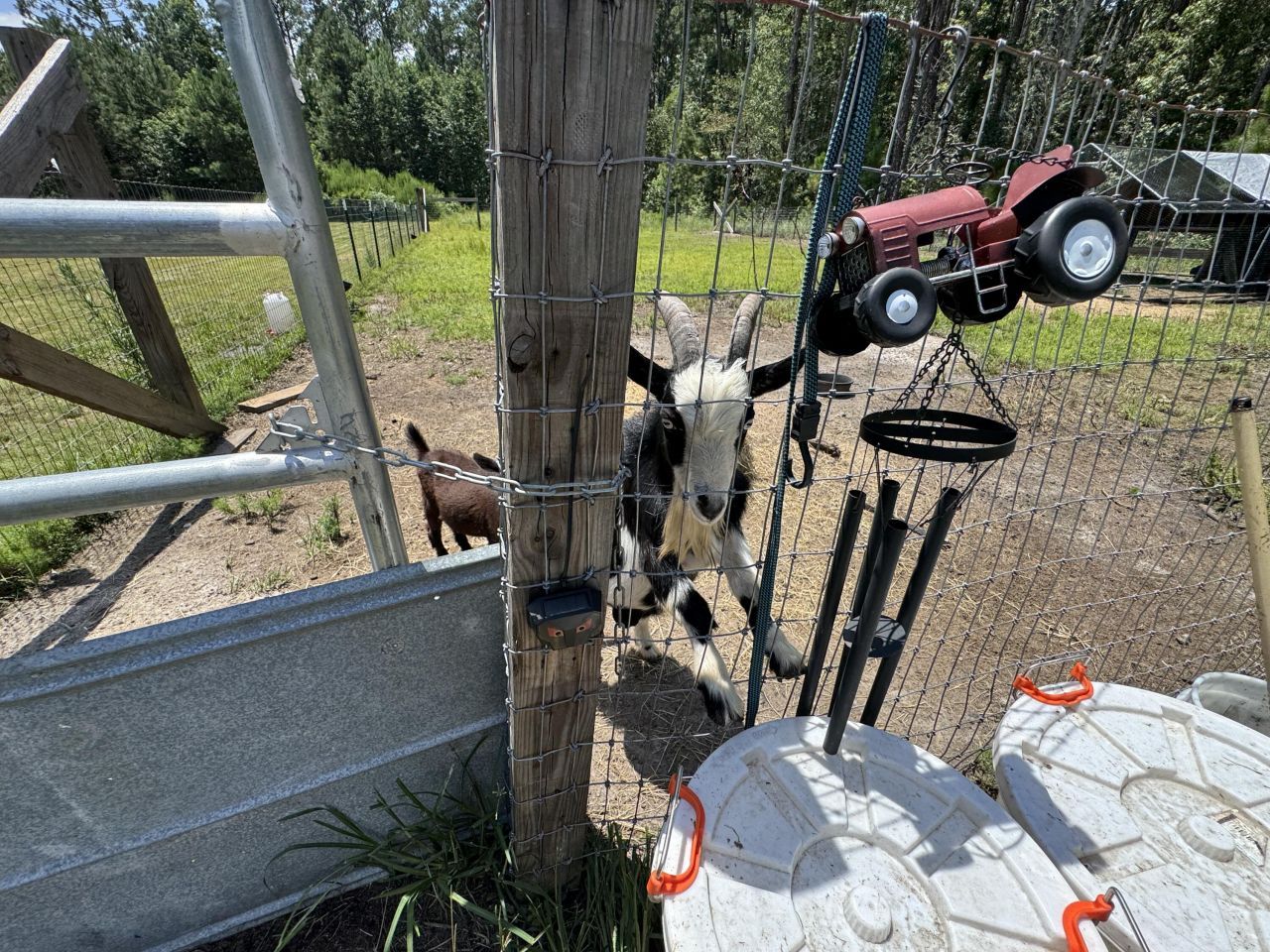 661 Woodrow Road Photo 35