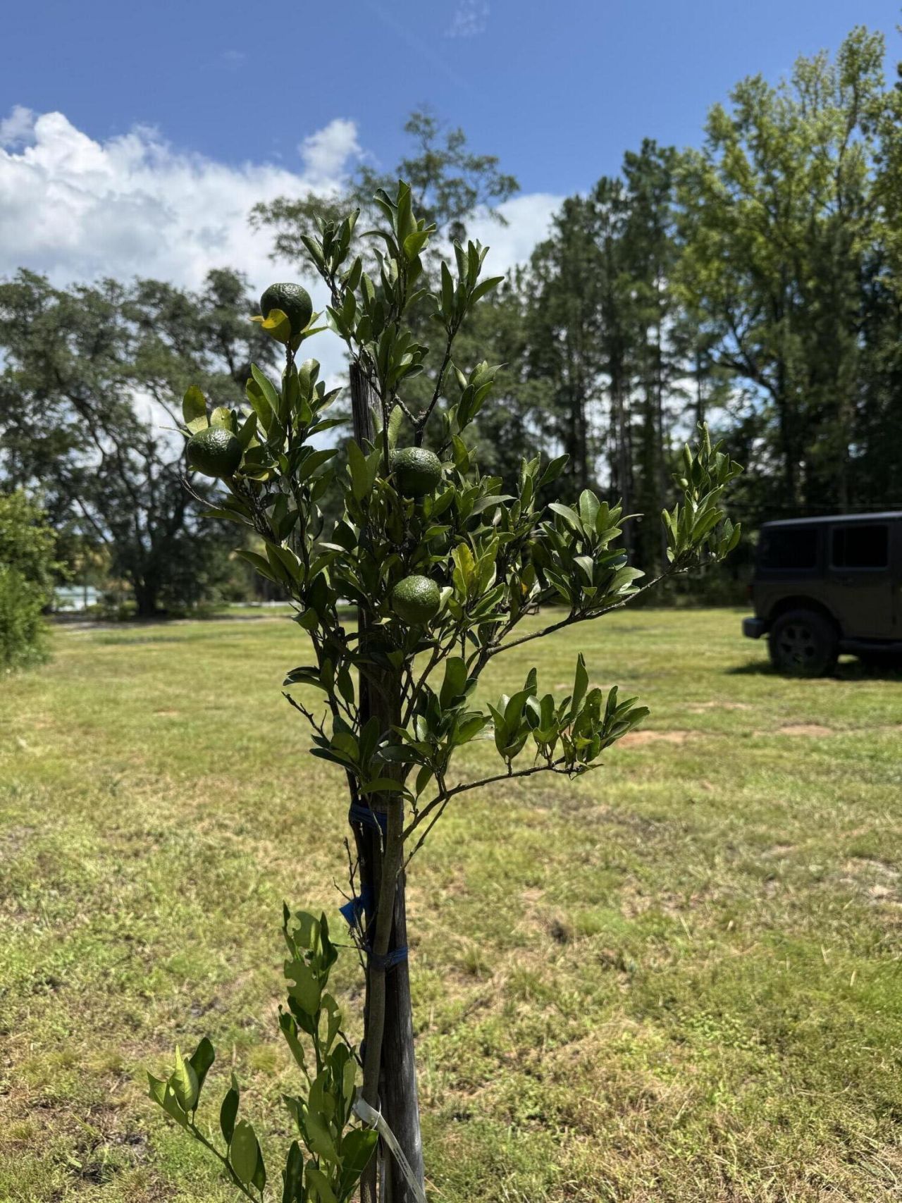 661 Woodrow Road Photo 37