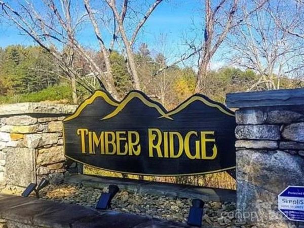 118 Timber Ridge Circle, Leicester, NC 28748
