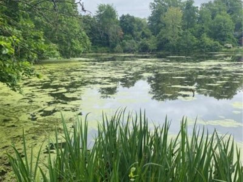 16125 Parkland Drive, Cleveland, OH 44120 Photo 45