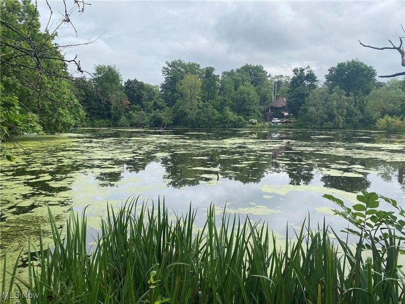 16125 Parkland Drive, Cleveland, OH 44120 Photo 46