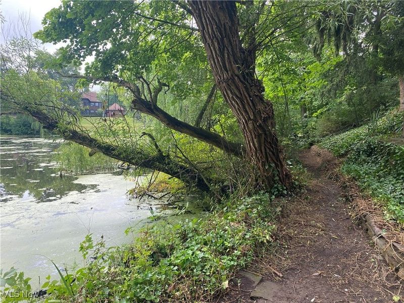 16125 Parkland Drive, Cleveland, OH 44120 Photo 47