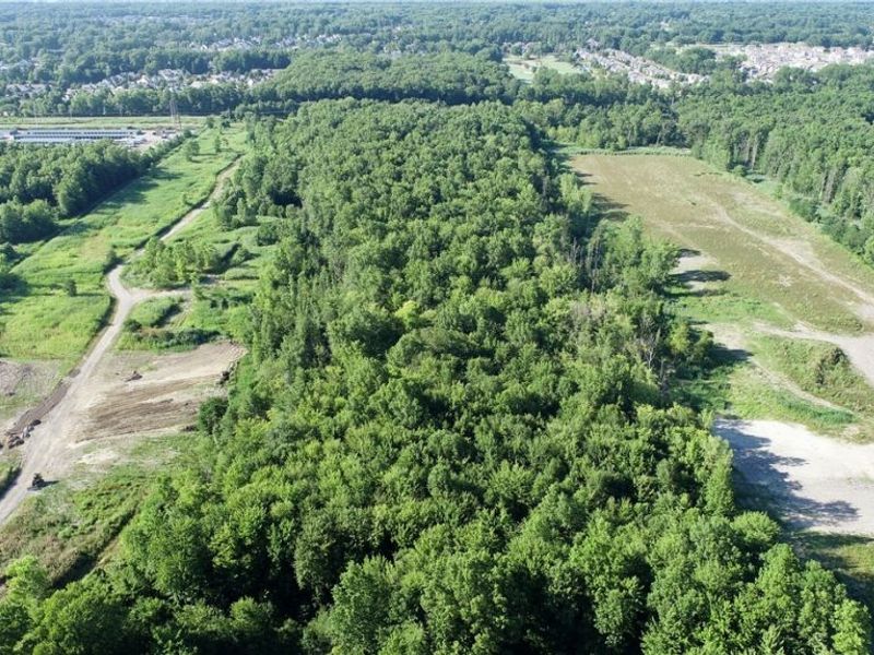 35666 Schneider Court, Avon, OH 44011 Photo 2