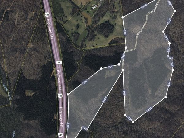 0 Highway 441, Homer, GA 30547