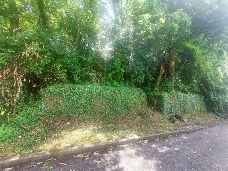 513 Tafel Street, Cincinnati, OH 45225 Photo 1