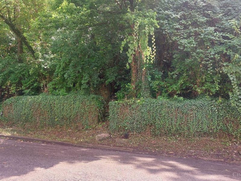 513 Tafel Street, Cincinnati, OH 45225 Photo 2