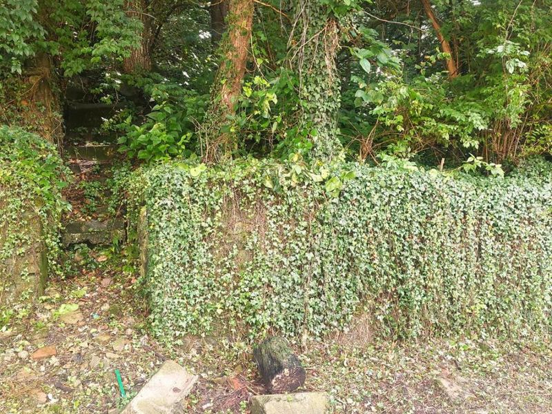 513 Tafel Street, Cincinnati, OH 45225 Photo 3