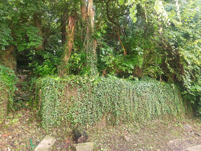 513 Tafel Street, Cincinnati, OH 45225 Photo 4