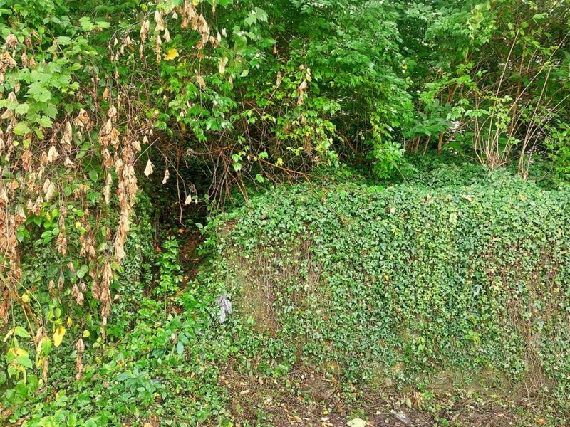 513 Tafel Street, Cincinnati, OH 45225 Photo 5