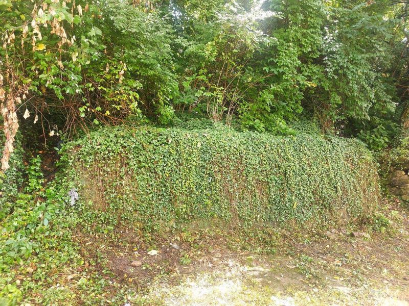 513 Tafel Street, Cincinnati, OH 45225 Photo 6