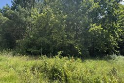 Tbd Society Dr. photo 4