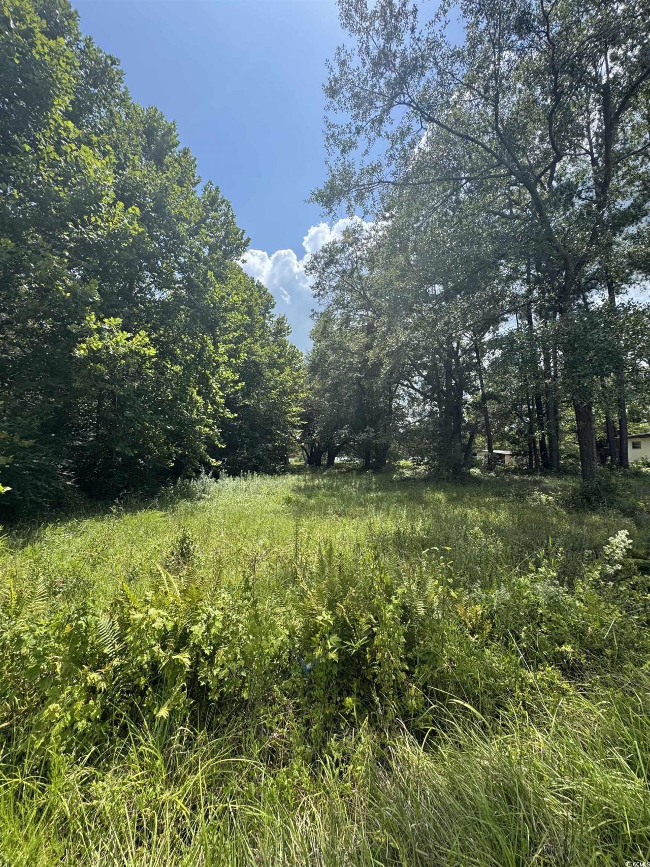 Tbd Society Dr. Photo 6