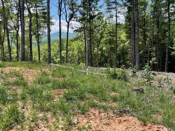 LOT 95 The Ridges, Morganton, GA 30560
