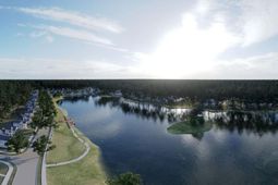 3901 Summerton Street photo 4