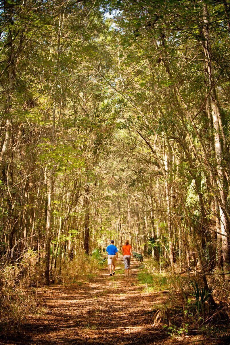 3901 Summerton Street Photo 7