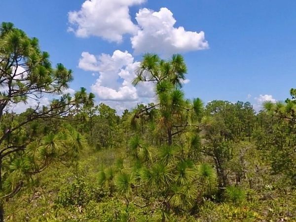 113 BOUGAINVILLE DRIVE, INDIAN LAKE ESTATES, FL 33855