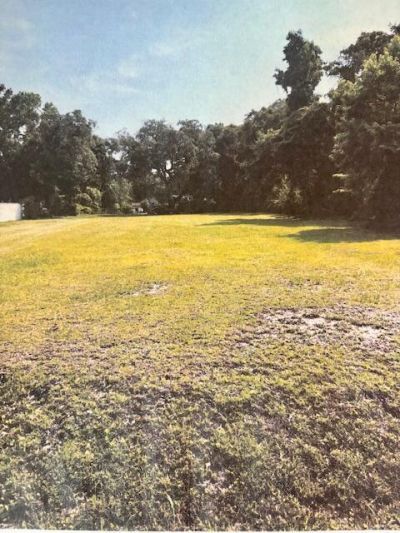 1046 Bee Hive Road Photo 5