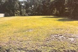 1046 Bee Hive Road photo 4