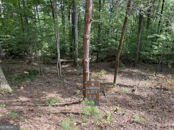 LOT13 Sour Apple Lane, Unit 13, Blairsville, GA 30512