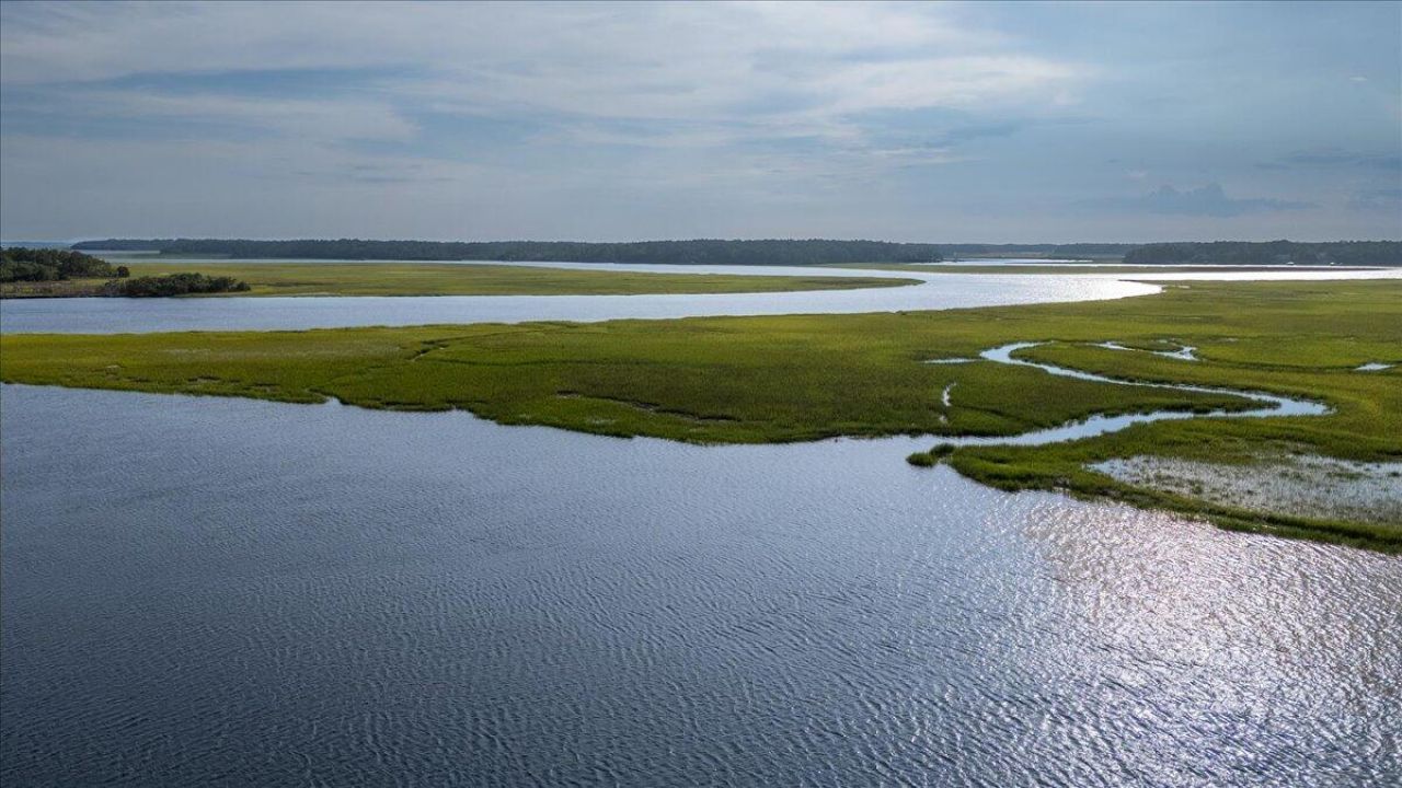 8488 Middleton Point Lane Photo 4