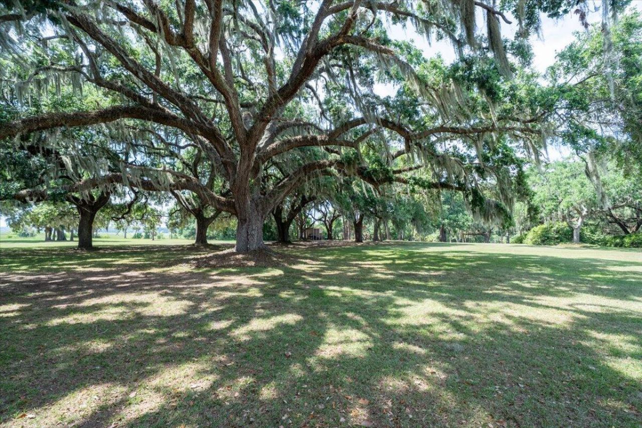 8488 Middleton Point Lane Photo 83