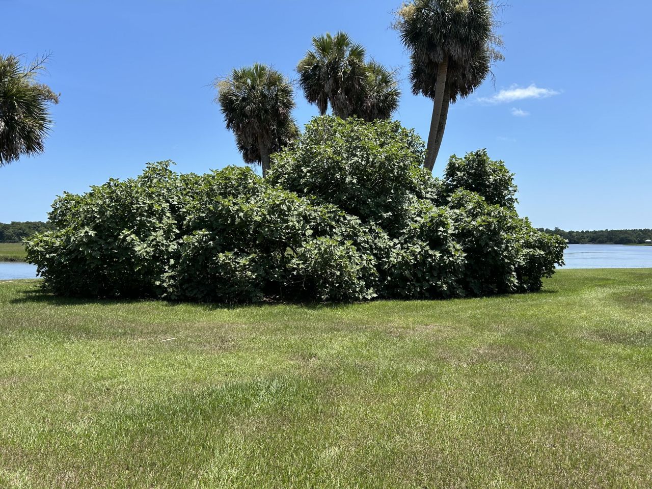 8488 Middleton Point Lane Photo 84