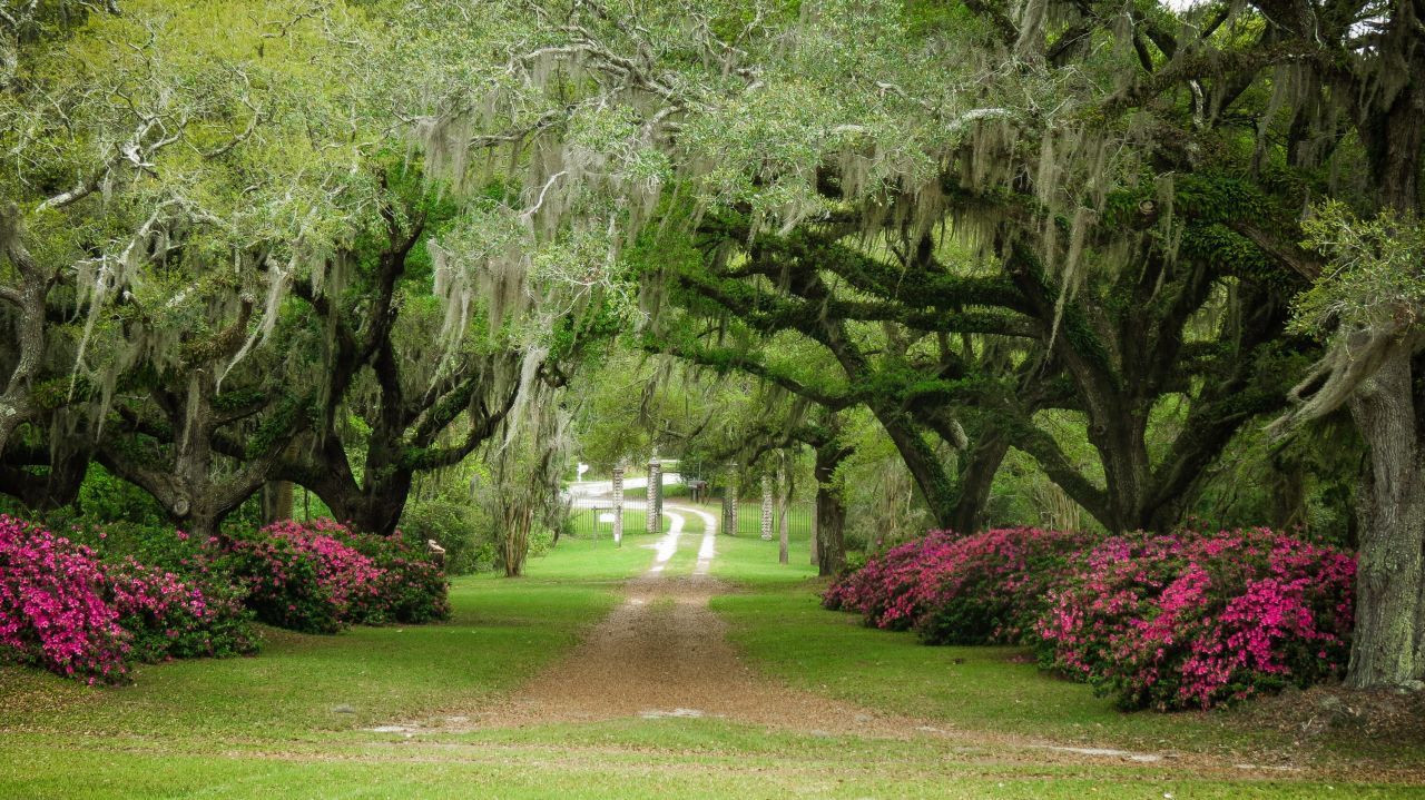 8488 Middleton Point Lane Photo 88