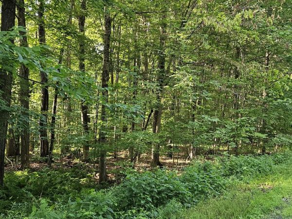 L68.3 Bumphill Road, Greenfield Center, NY 12833