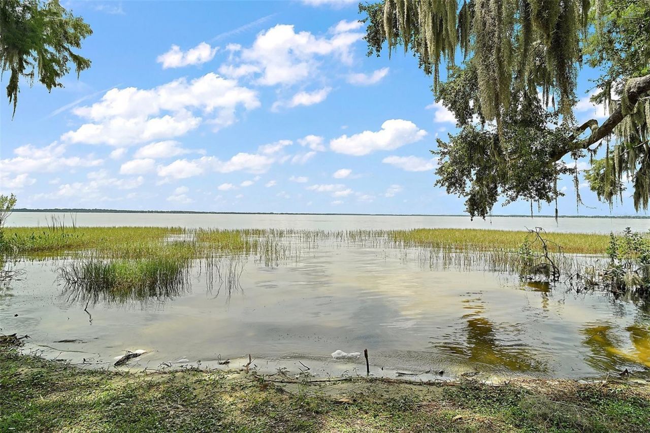 3020 Indian Trail, Eustis, FL 32726 Photo