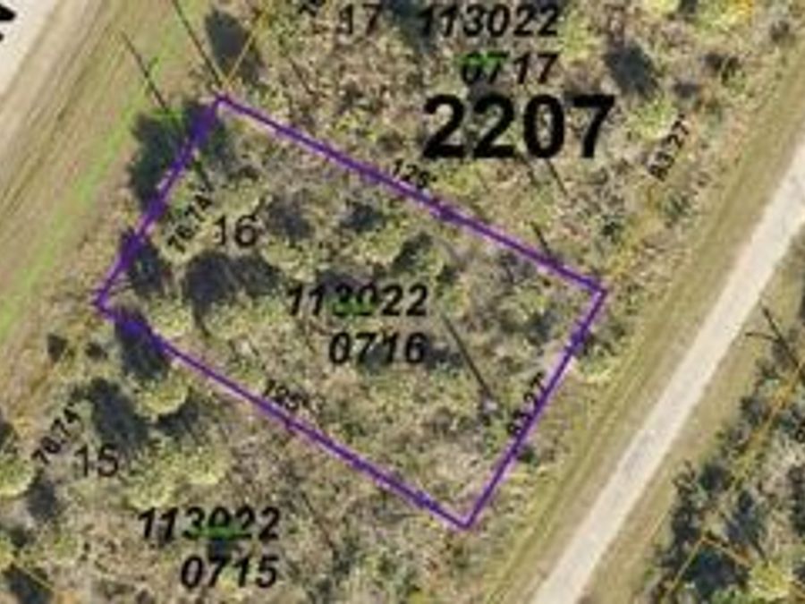 Property Image 4