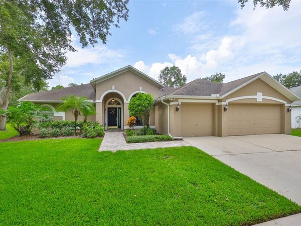 8613 HERONS COVE PLACE, TAMPA, FL 33647
