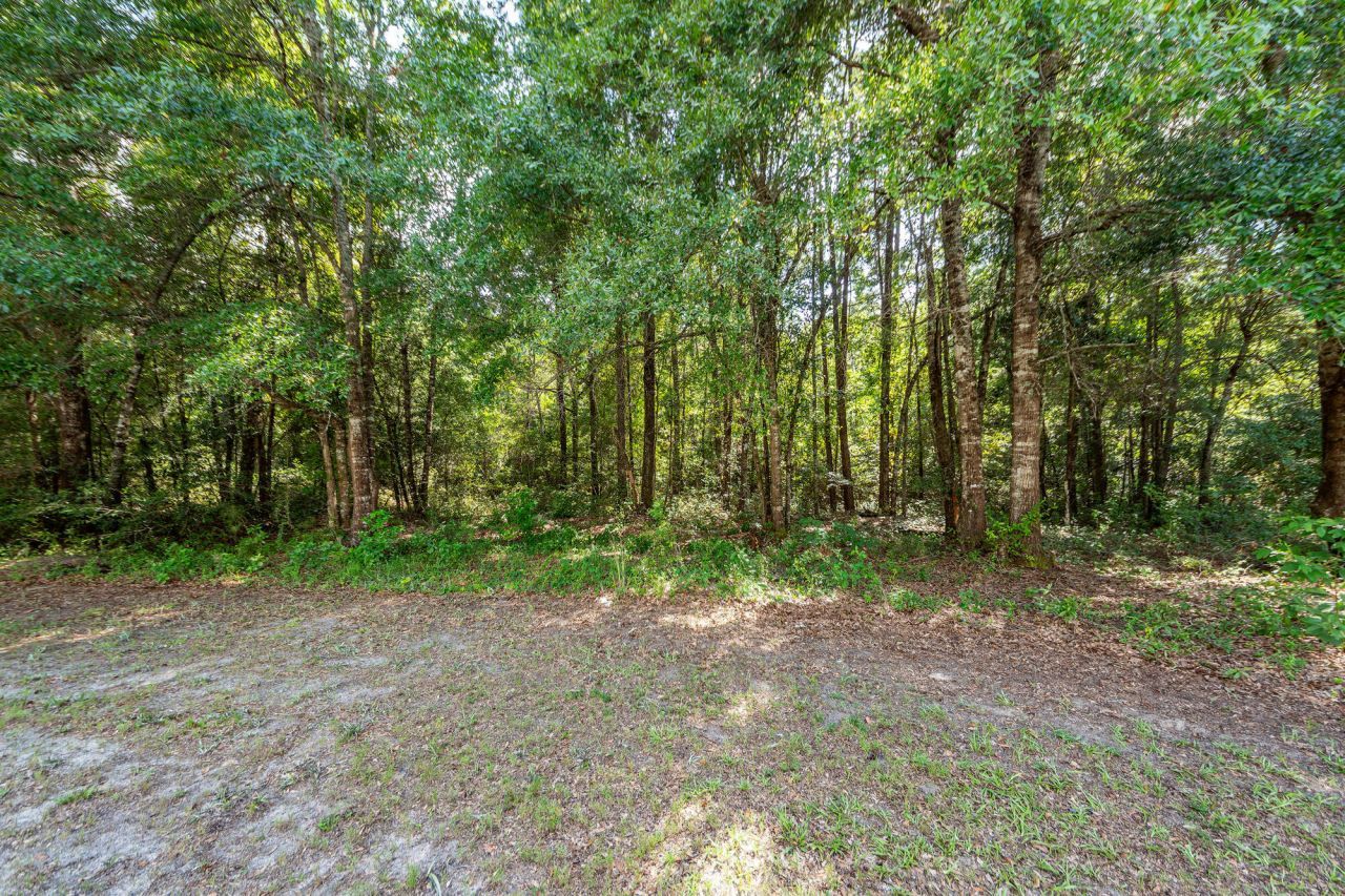 156 Hidden Hills Road Photo 42