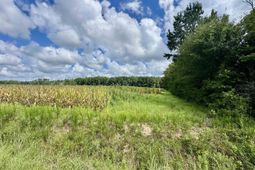 Tbd Pearl Rd. photo 4
