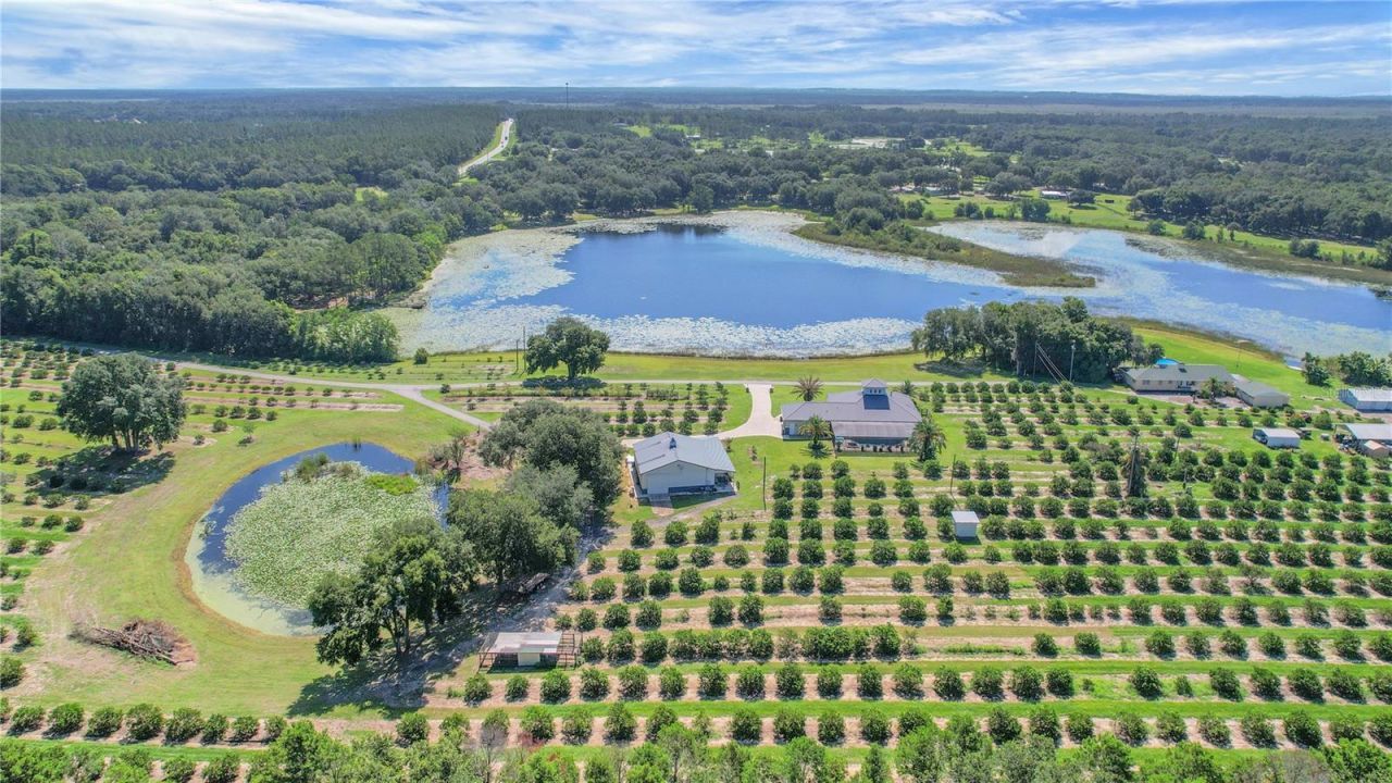 16982 SE Highway 42, Weirsdale, FL 32195 Photo