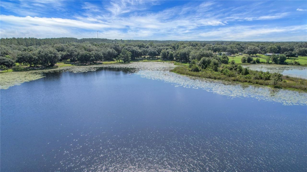 16982 SE Highway 42, Weirsdale, FL 32195 Photo