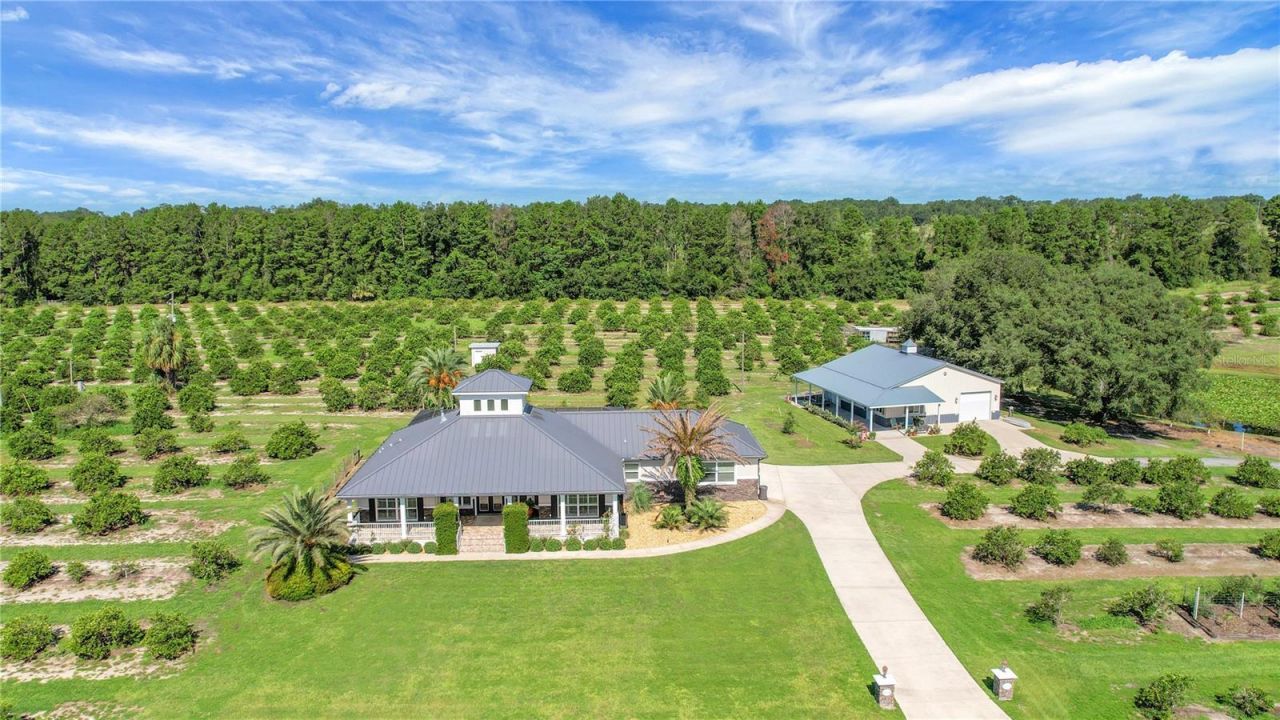 16982 SE Highway 42, Weirsdale, FL 32195 Photo