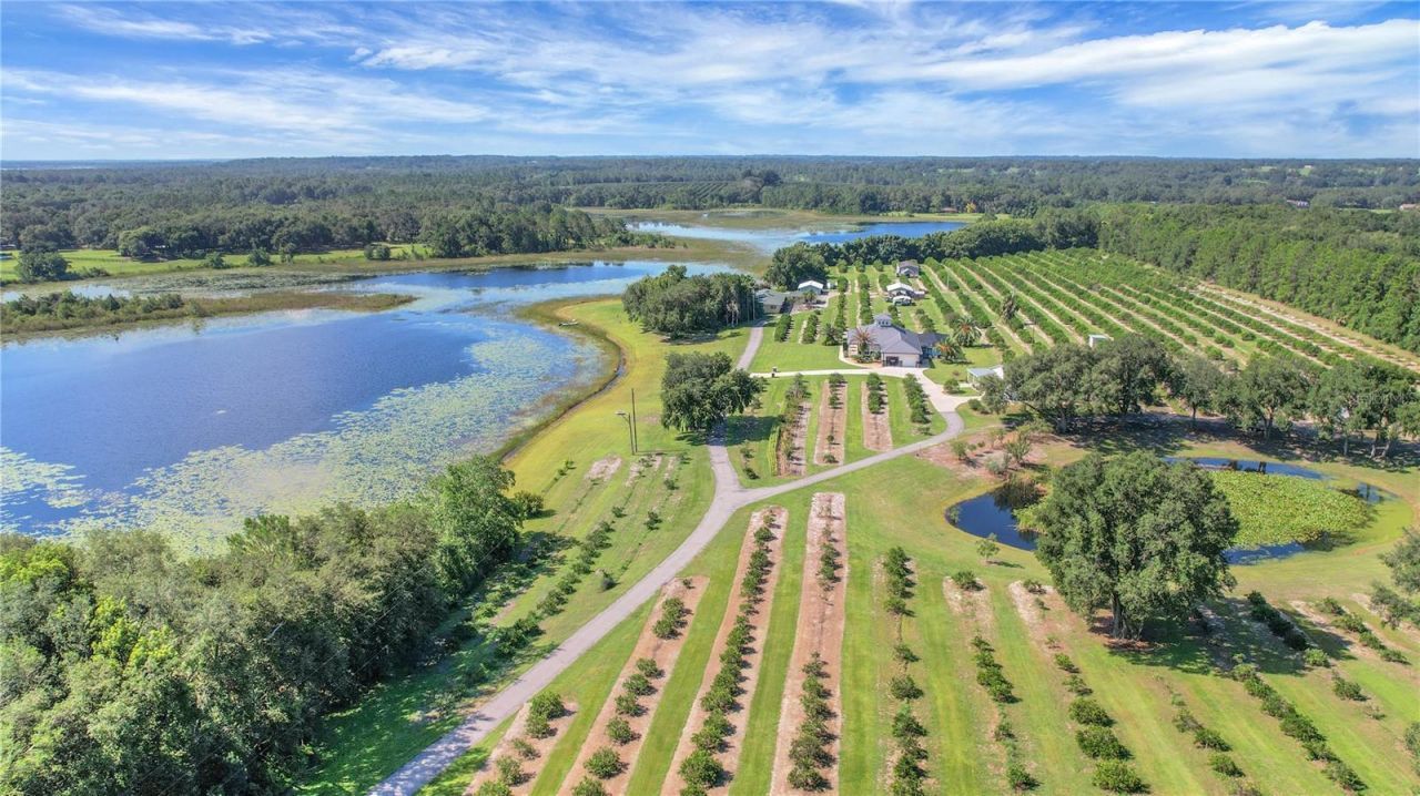 16982 SE Highway 42, Weirsdale, FL 32195 Photo