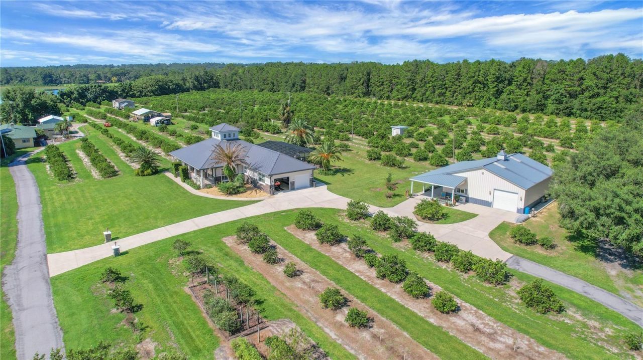 16982 SE Highway 42, Weirsdale, FL 32195 Photo