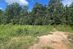 0 Roper Mountain Court photo 4