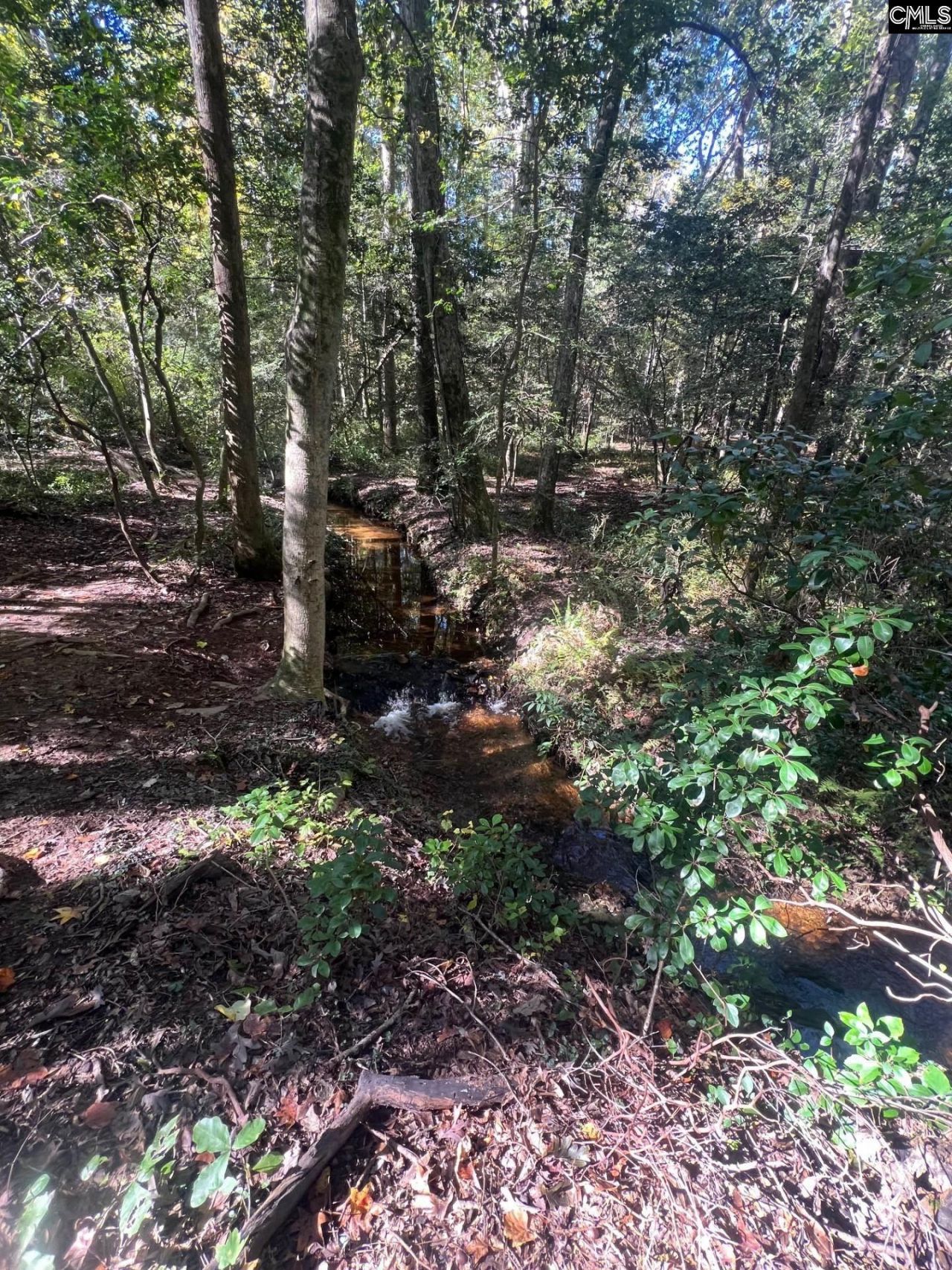 0 Roper Mountain Court Photo 4