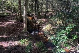0 Roper Mountain Court photo 4