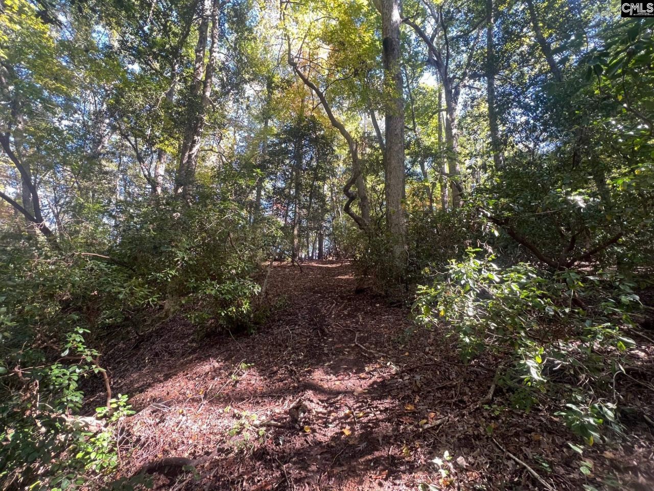 0 Roper Mountain Court Photo 5