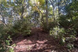 0 Roper Mountain Court photo 4