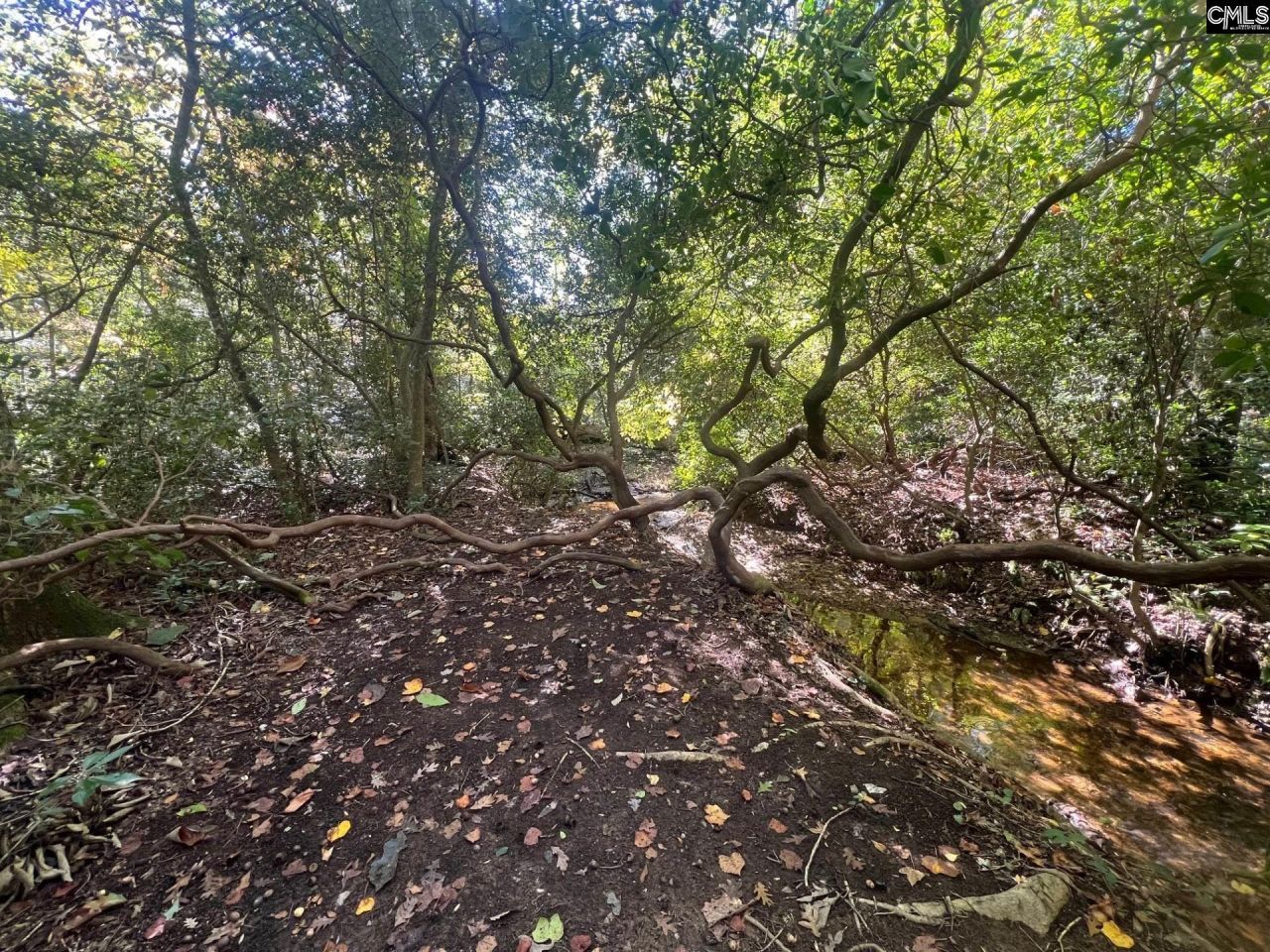 0 Roper Mountain Court Photo 6