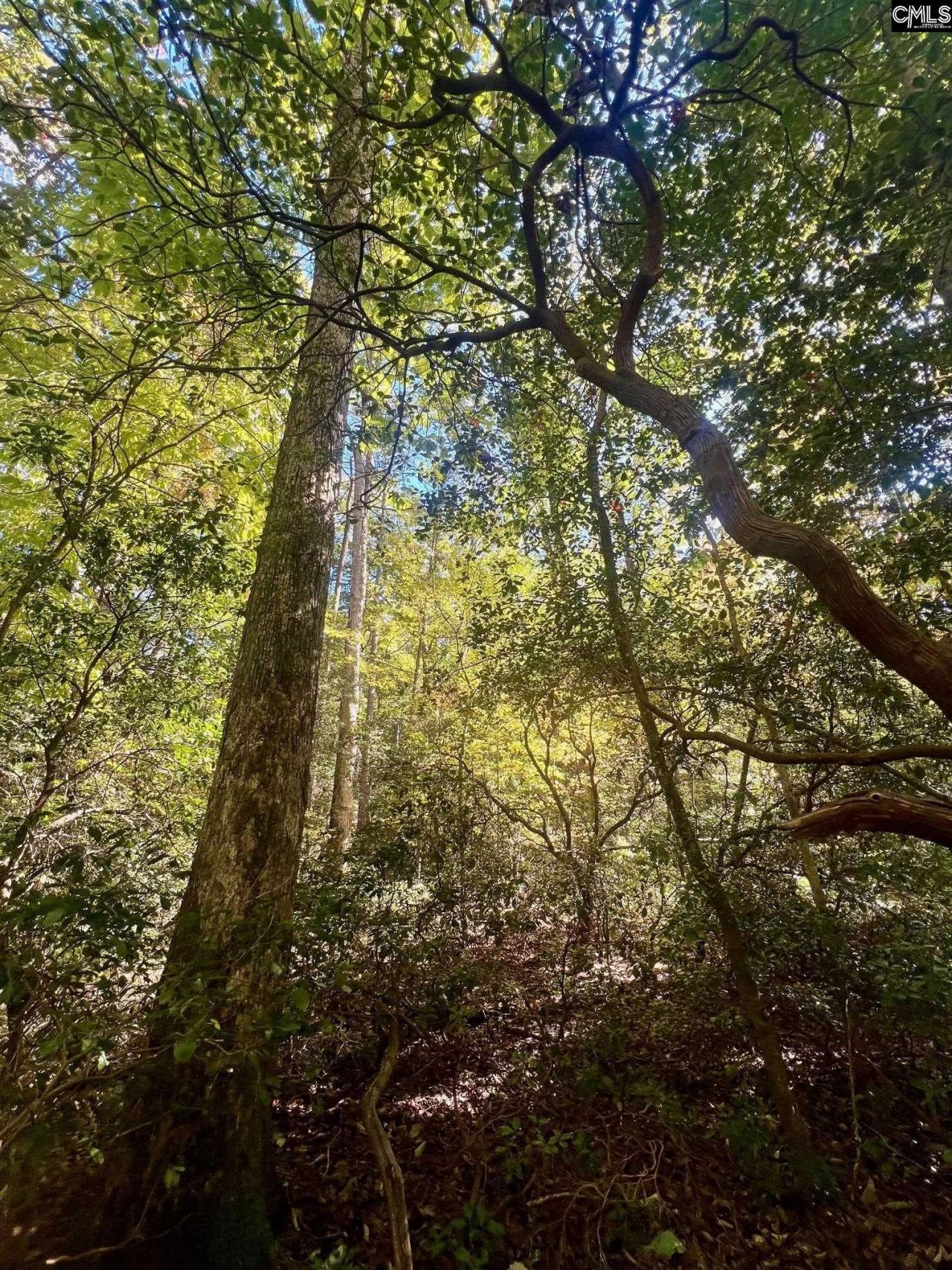 0 Roper Mountain Court Photo 7
