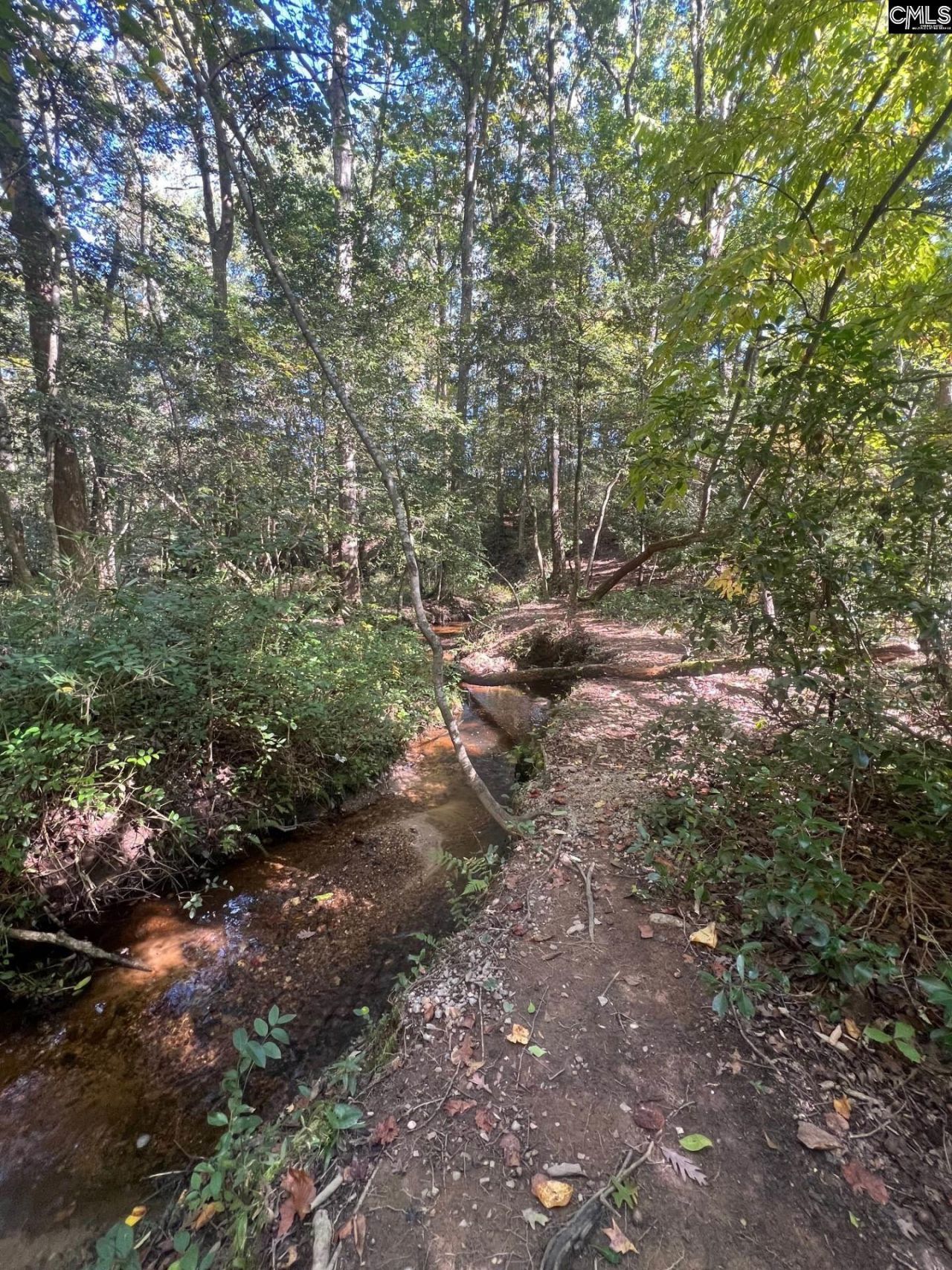 0 Roper Mountain Court Photo 8