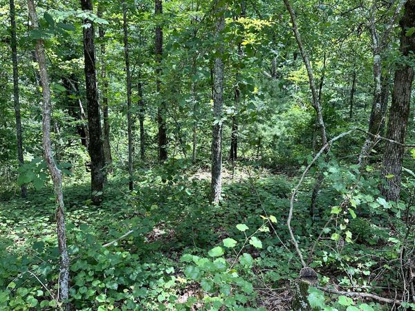 LT1719 Rebekah Ridge Road, Talking Rock, GA 30175